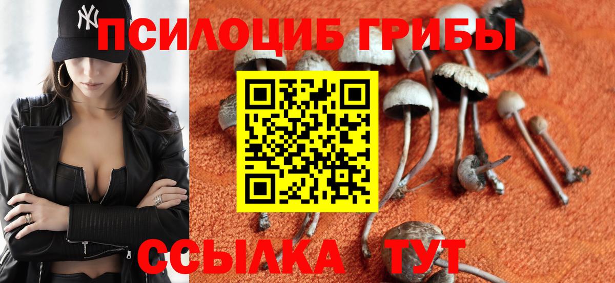 ГАШ Орёл