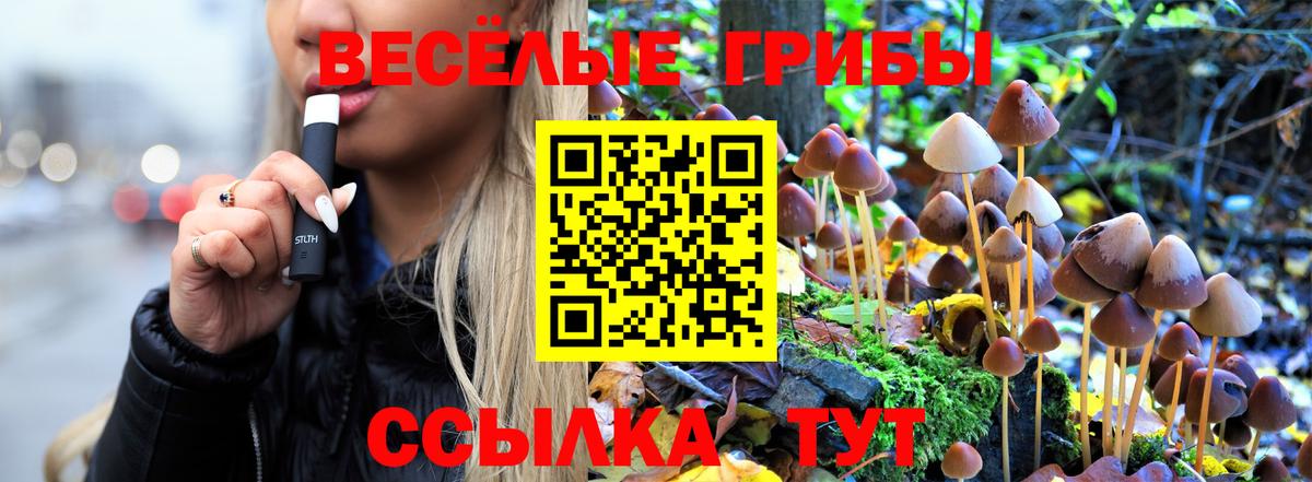 Галлюциногенные грибы Psilocybe Орёл